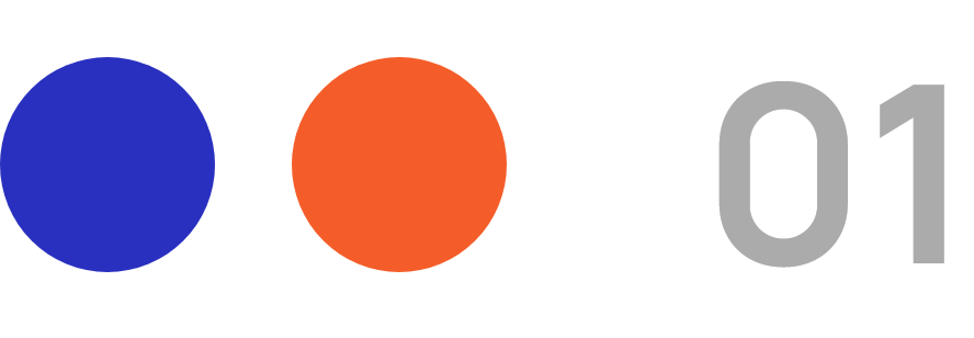 Custom System Integration